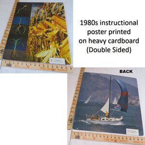Vintage 80s Corn & Sailboat, Educational Poster thick cardboard farm